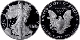 Silver Eagle

2001-W Silver Eagle. Proof-69 Ultra Cameo (NGC).

PCGS# 99954. NGC ID: 26K4.

Estimate: $60