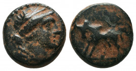 Greek Coins Ae, ca. 305-150 B.C.
Condition: Very Fine

Weight: 3.6 gr
Diameter: 13 mm
