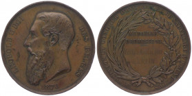 Bronzemedaille, 1876
Belgien. von Wiener, an den Kongress und die Ausstellung für Hygiene in Brüssel, Kopf links / Schrift zwischen Palmwedel und Lorb...