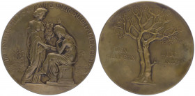 Bronzemedaille, 1909
Deutschland, Kaiserreich nach 1871. auf das deutsche Hilfskomite für Süditalien.. 84,82g
vz