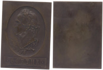 Bronzeplakette, o. Jahr
einseitig, J.W. von Goethe.. Wien
82,05g
vz