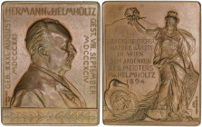 Bronzeplakette 1894, auf Hermann von Helmholz (1821 - 1894)
Deutschland. stgl