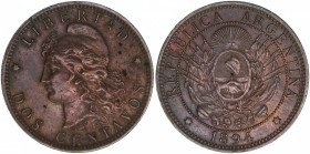 2 Centavos, 1894
Argentinien. 10,08g. Schön 25
ss/vz