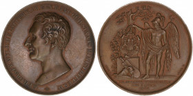 Graf von Wylich und Lottum
Preussen. Bronzemedaille, 1834. von Loos
80,77g
Wurzbach 9895
vz-