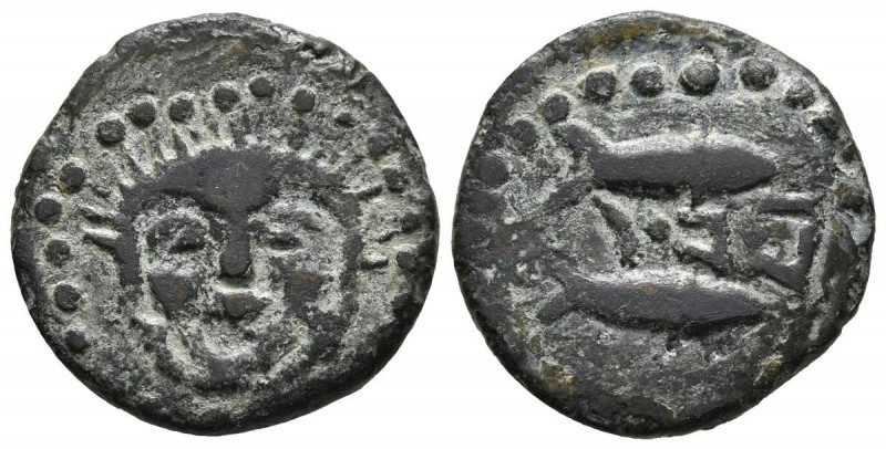 ASIDO (Medina Sidonia, Cádiz). Semis. (Ae. 3,56g/19mm). 50 a.C. (FAB-155). Anv: ...