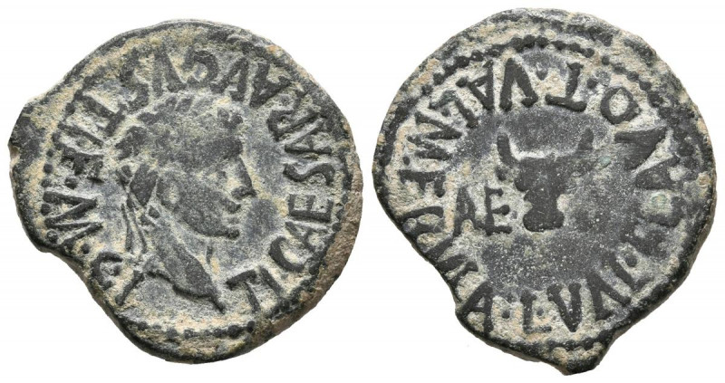 CALAGURRIS (Calahorra, La Rioja). Semis. (Ae. 4,55g/22mm). 14-36 d.C. (FAB-431)....