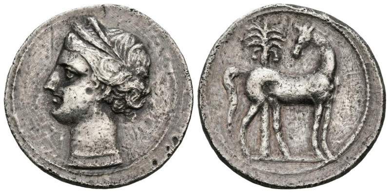 CARTAGONOVA (Cartagena, Murcia). Shekel. (Ar. 6,94g/23mm). 220-215 a.C. (FAB-498...