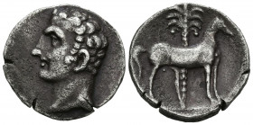 CARTAGONOVA (Cartagena, Murcia). Shekel. (Ar. 7,05g/21mm). 220-205 a.C. (FAB-535). Anv: Cabeza masculina a izquierda. Rev. Caballo parado a derecha, d...