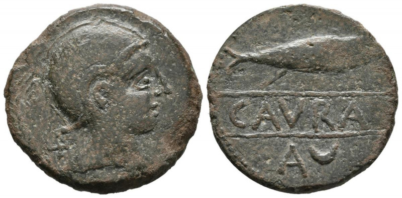 CAURA (Coria del Río, Sevilla). Semis. (Ae. 8,44g/32mm). 50 a.C. (FAB no cita; A...