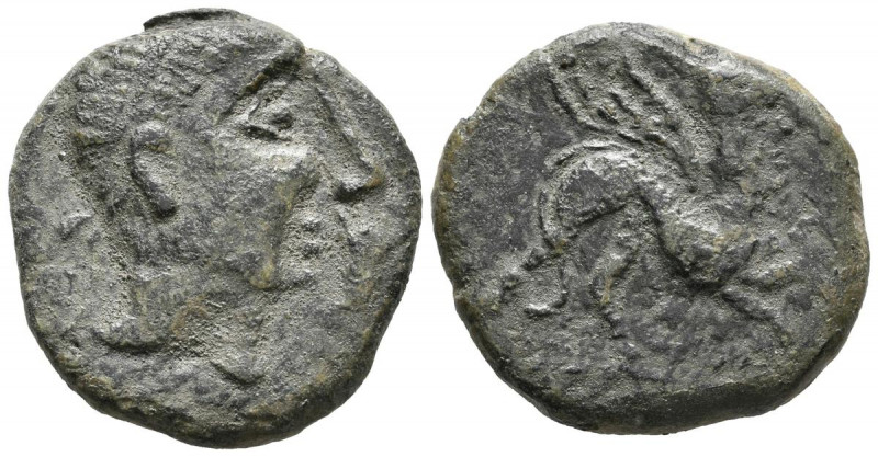 ILIBERRI (Granada). As. (Ae. 12,54g/26mm). 150-20 a.C. (FAB-1497). Anv: Cabeza m...