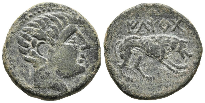 ILTIRTA (Lérida). As. (Ae. 6,53g/22mm). 220-200 a.C. (FAB-1477). Anv: Cabeza mas...