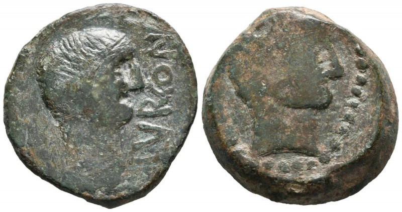 ILURCO (Pinos Puente, Granada). As. (Ae. 20,44g/30mm). 50 a.C. (FAB-1566). Anv: ...