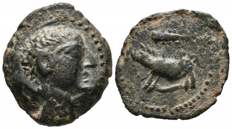 TIPO JABALI-CLAVA. Semis. (Ae. 7,90g/25mm). 180 a.C. (FAB-755). Anv: Cabeza masc...