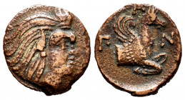 Cimmerian Bosporos. Pantikapaion. AE 16. 325-310 BC. (SNG Stancomb-542). (MacDonald-69). (Sng Black Sea-869/71). Anv.: Head of bearded satyr right. Re...