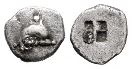Thrace. Thasos. Obol. 500-480 BC. (Hgc-6). Anv.: Dolphin right; pellet above and below. Rev.: Quadripartite incuse square . Ag. 0,38 g. VF. Est...0,00...