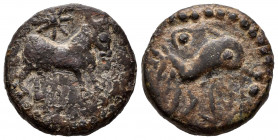 Asido. Half unit. 50 BC. Medina Sidonia (Cádiz). (Abh-158). (Acip-914). Anv.: Bull right, star above. Rev.: Dolphin right, crescent with central pelle...