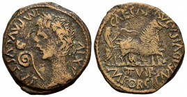 Caesaraugusta. Augustus period. Unit. 27 BC - 14 AD. Zaragoza. (Abh-324). (Acip-3038). Anv.: IMP. AVGVSTVS. XIV. Laureate head of Augustus left, lituu...
