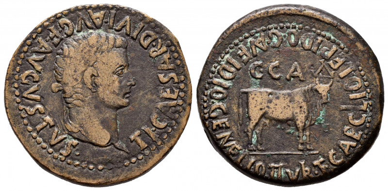 Caesar Augusta. Unit. 14-36 d.C. Zaragoza. (Abh-363). Anv.: Laureate head of Tib...