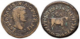 Caesar Augusta. Unit. 14-36 d.C. Zaragoza. (Abh-363). Anv.: Laureate head of Tiberius on the right. TI CAESAR DIVI AVG F AVGVTVS. Rev.: Bull to the ri...