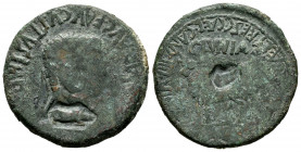 Clunia. Time of Tiberius. Unit. 37-41 AD. Coruña del Conde (Burgos). (Abh-838). Anv.: TI. CAESAR. AVG. E AVGVSTVS. IMP. Laureate head of Tiberius righ...