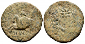 Ituci. Dupondius?. 150-50 BC. Tejada la Vieja (Sevilla). (Abh-1599). Anv.: Horseman with round shield left, ITVCI on line below. Rev.: Two ears of cor...