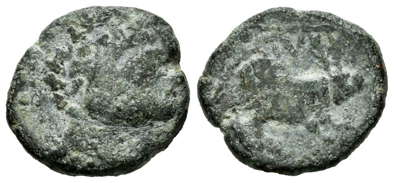 Nabrisa. Half unit. 50 BC. Lebrija (Sevilla). (Abh-1767). Anv.: Male head right....