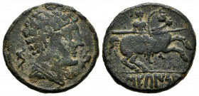 Sekaisa. Unit. 120-20 BC. Area of Aragon. (Abh-2133). (Acip-1560). Anv.: Male head right between two dolphins. Rev.: Horseman right, holding spear, bo...