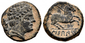 Sekaisa. Half unit. 120-20 BC. Area of Aragon. (Abh-2140). Anv.: Male head right, lioness behind. Rev.: Horse right, iberian legend SEKAISA below. Ae....