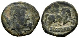 Segobriga. Unit. 30-20 BC. Saelices (Cuenca). (Abh-2182). (Acip-3240). Anv.: Male head right, dolphin before, palm behind, mejor arte. Rev.: Horseman ...