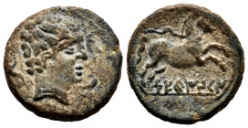 Seteisken. Half unit. 120-20 BC. Sástago (Zaragoza). (Abh-2212). Anv.: Male head right, three dolphins around. Rev.: Horse right, iberian legend STEEI...