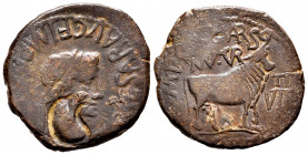 Turiaso. Augustus period. Unit. 27 BC - 14 AD. Tarazona (Zaragoza). (Abh-2450). Anv.: TI. CAESAR. AVG F. IMP. PONT. M. around laureate head of Tiberiu...