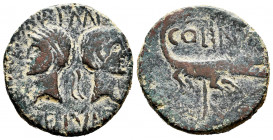 Augustus and Agrippa. Dupondius. 10 AD. Nimes. (Spink-1731). (Ric-159-160). Anv.: IMP DIVI F P P. Rev.: COL NEM. Crocodile chained to a palm tree. Ae....