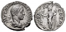 Severus Alexander. Denarius. 224 AD. Rome. (Ric-40). Rev.: P M TR P III COS P P, Pax standing facing, head left, with olive branch in right hand and g...