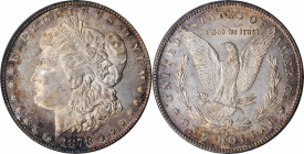 Morgan Silver Dollar

1878-S Morgan Silver Dollar. MS-63 (PCGS). OGH.

PCGS# 7082. NGC ID: 253R.