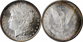 Morgan Silver Dollar

1879-S Morgan Silver Dollar. MS-66 (NGC). OH.

PCGS# 7092. NGC ID: 253X.