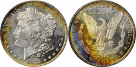 Morgan Silver Dollar

1879-S Morgan Silver Dollar. MS-65 PL (ANACS). OH.

PCGS# 7093. NGC ID: 253X.
