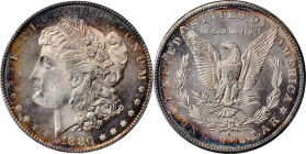 Morgan Silver Dollar

1880-S Morgan Silver Dollar. MS-65 (ANACS). OH.

PCGS# 7118. NGC ID: 2544.