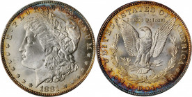 Morgan Silver Dollar

1881 Morgan Silver Dollar. MS-64 (NGC). OH.

PCGS# 7124. NGC ID: 2546.