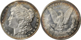Morgan Silver Dollar

1881-S Morgan Silver Dollar. MS-65 PL (ANACS). OH.

PCGS# 7131. NGC ID: 2549.
