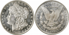 Morgan Silver Dollar

1881-S Morgan Silver Dollar. MS-63 PL (PCGS). OGH.

PCGS# 7131. NGC ID: 2549.