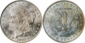 Morgan Silver Dollar

1882 Morgan Silver Dollar. MS-64 (PCGS). OGH.

PCGS# 7132. NGC ID: 254A.