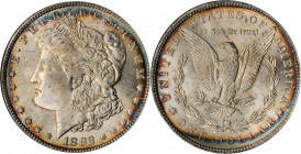 Morgan Silver Dollar

1882 Morgan Silver Dollar. MS-64 (ANACS). OH.

PCGS# 7132. NGC ID: 254A.