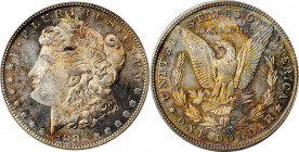 Morgan Silver Dollar

1882-S Morgan Silver Dollar. MS-65 (ANACS). OH.

PCGS# 7140. NGC ID: 254F.