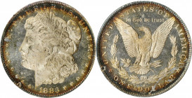 Morgan Silver Dollar

1883-O Morgan Silver Dollar. MS-62 DPL (NGC). OH.

PCGS# 97147. NGC ID: 254J.