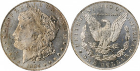 Morgan Silver Dollar

1884-O Morgan Silver Dollar. MS-63 DMPL (PCGS). OGH.

PCGS# 97155. NGC ID: 254N.