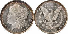 Morgan Silver Dollar

1884-O Morgan Silver Dollar. MS-62 DPL (NGC). OH.

PCGS# 97155. NGC ID: 254N.