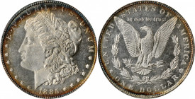 Morgan Silver Dollar

1885 Morgan Silver Dollar. MS-62 DPL (NGC). OH.

PCGS# 97159. NGC ID: 254R.