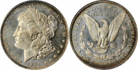 Morgan Silver Dollar

1886 Morgan Silver Dollar. MS-63 DMPL (ANACS). OH.

PCGS# 97167. NGC ID: 254V.