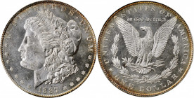 Morgan Silver Dollar

1887 Morgan Silver Dollar. MS-62 DPL (NGC). OH.

PCGS# 97173. NGC ID: 254Y.
