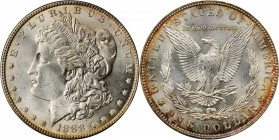 Morgan Silver Dollar

1888 Morgan Silver Dollar. MS-64 (NGC). OH.

PCGS# 7182. NGC ID: 2555.